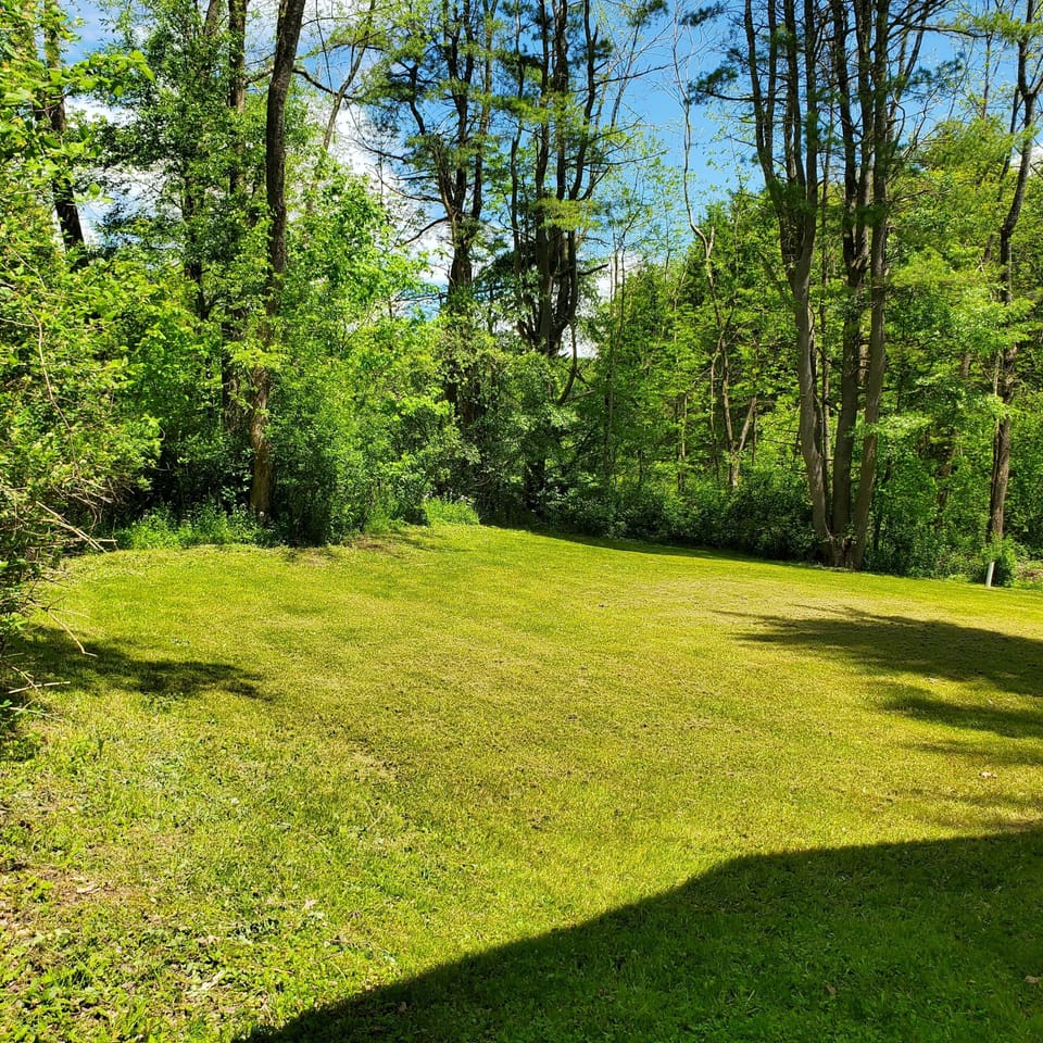 Yard