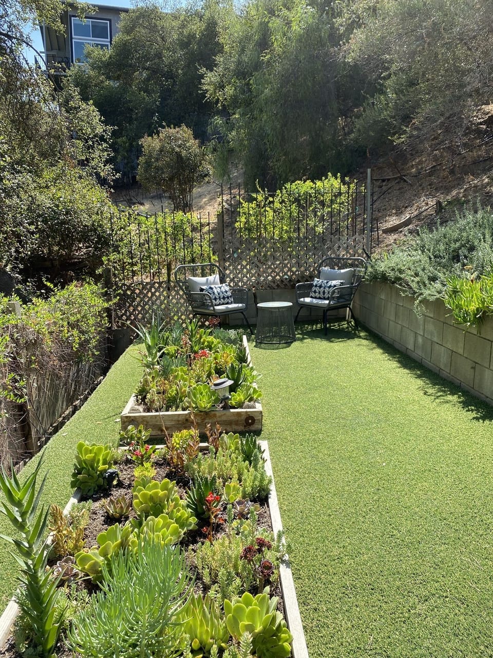Have a seat in our succulent garden and take in the treehouse views and solace.