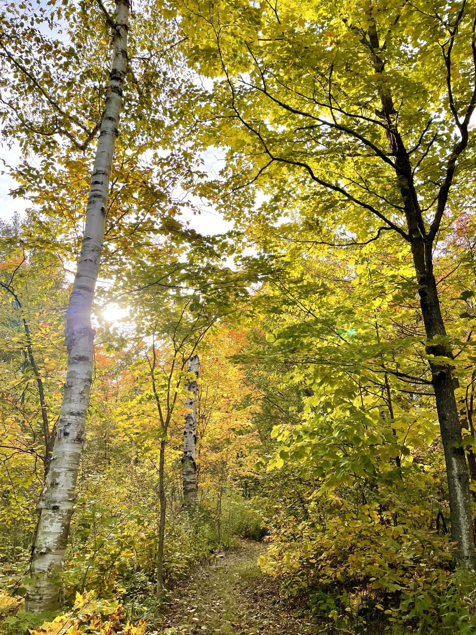 Trail on property. 