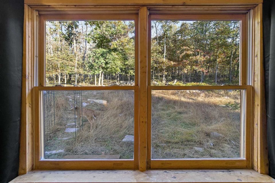 Bedroom #2: Be prepared for deer and other furry friends in the backyard!