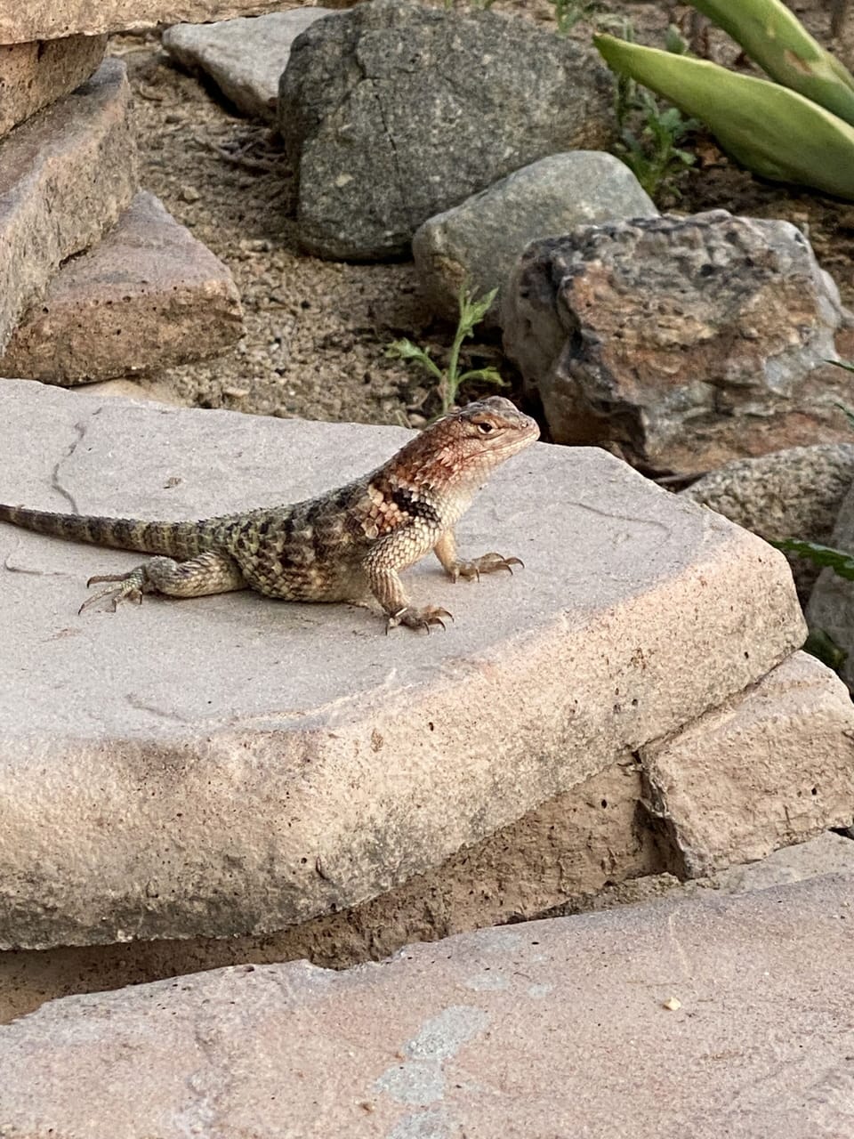Our buddy Larry
