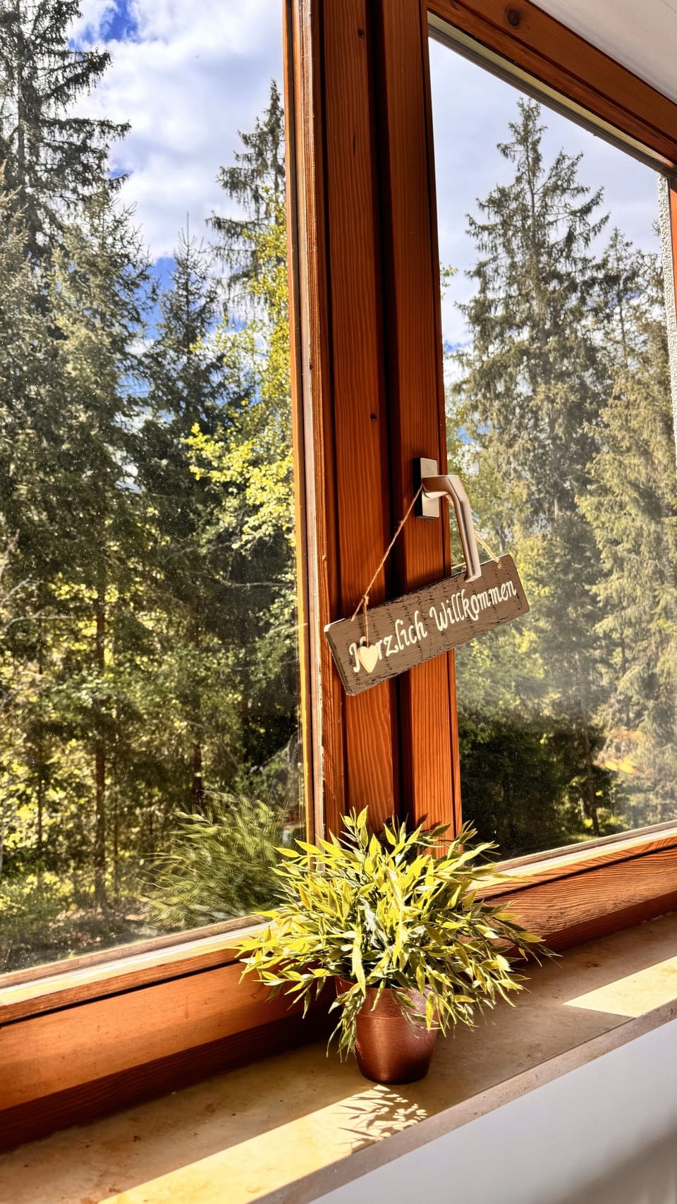 View from property
