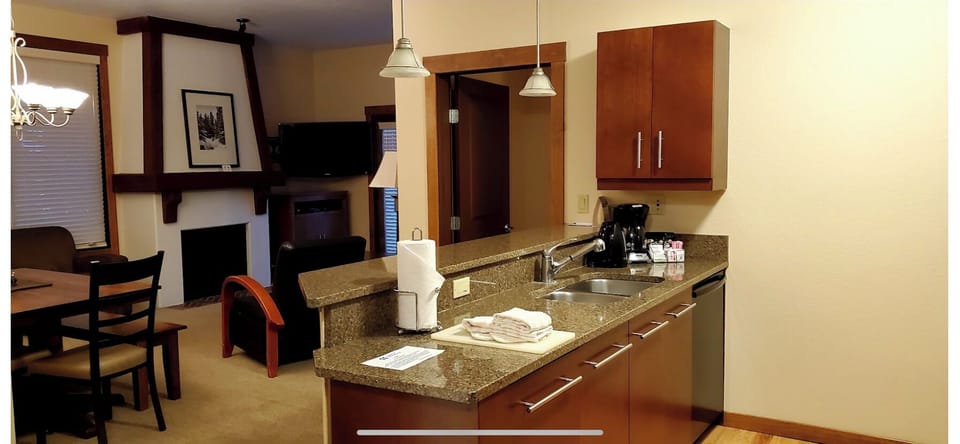 Kitchen counter, looking into living space
