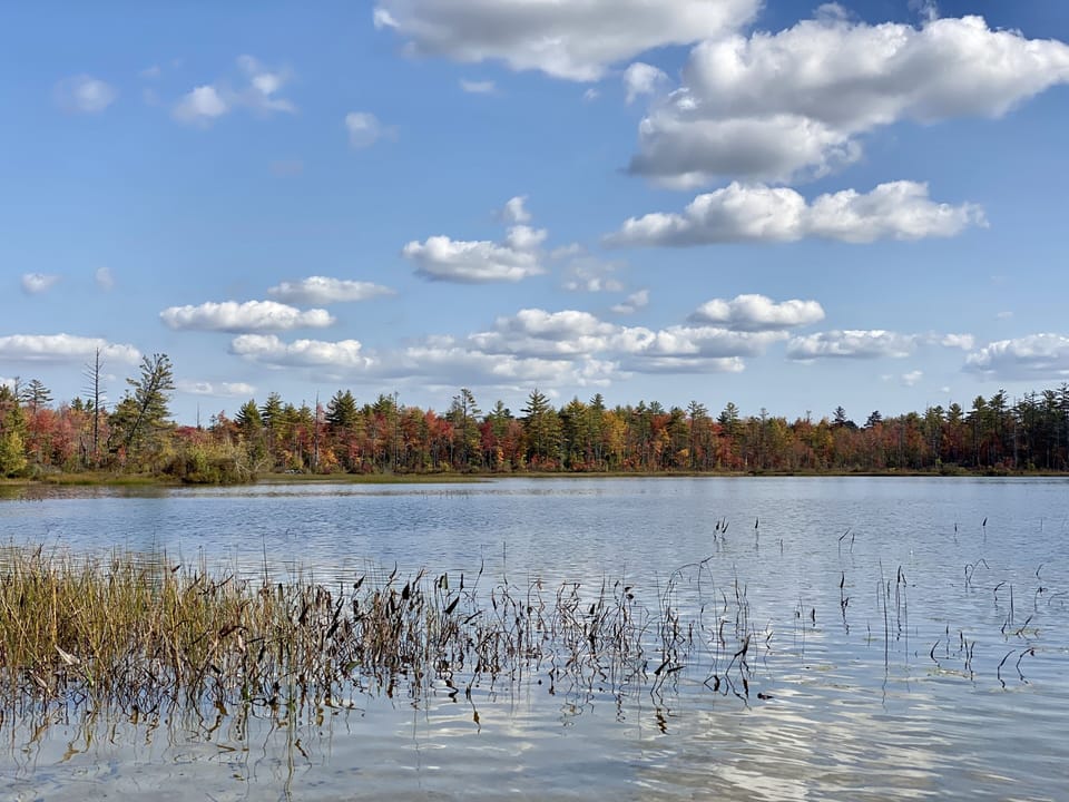 Lake