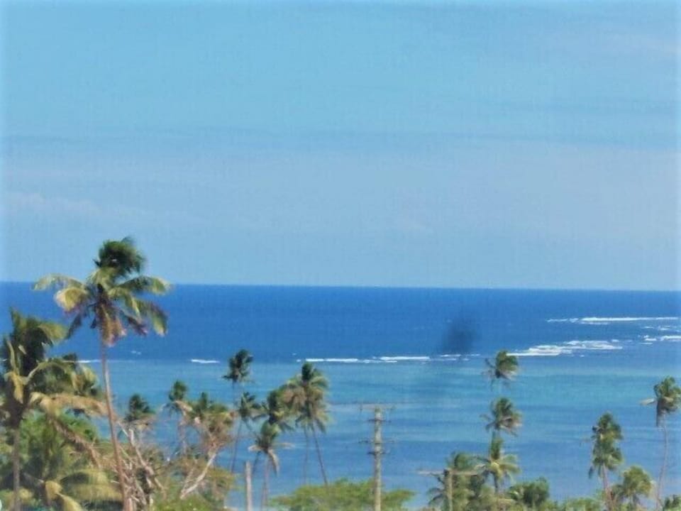 Image 27