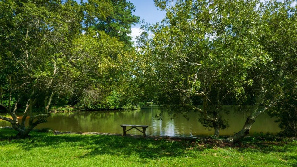 Peaceful here.