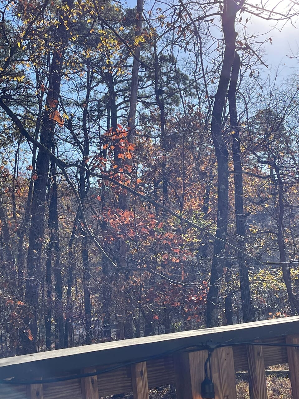 Fall In the Air