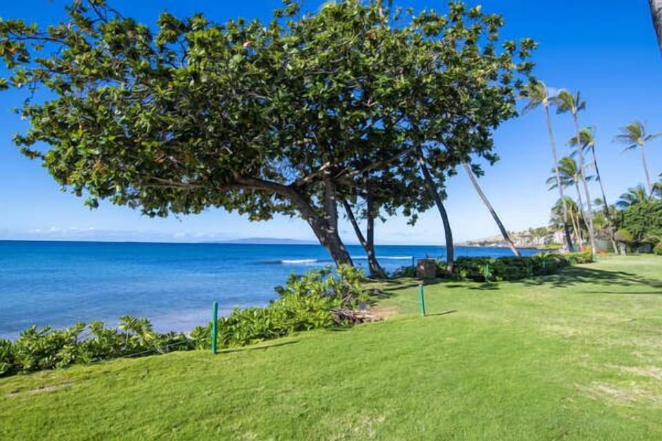 Out front of Kana'i A Nalu Resort