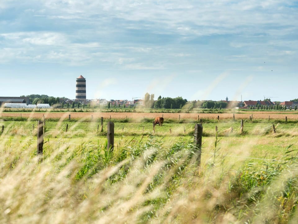 Cloud, Plant, Sky, Natural Landscape, Fence, Land Lot, Grass, Grassland, Plain, Tree
