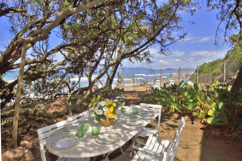 The equipped outdoor area in the mediterranean vegetation by the sea