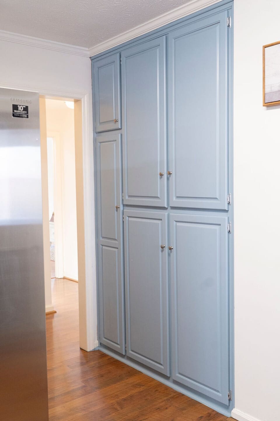 Butler Pantry & Broom Closet