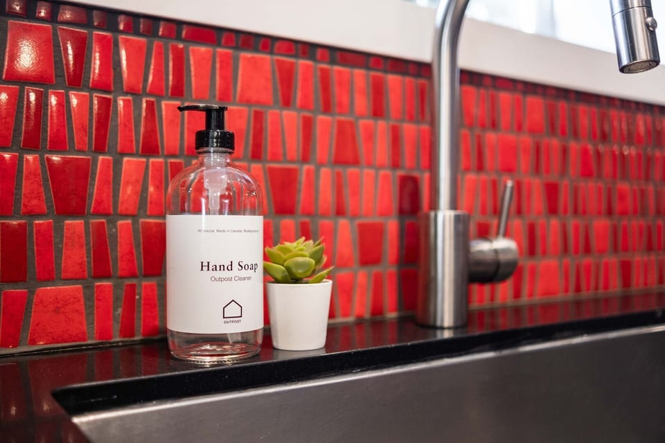 Complimentary hand and dish soap