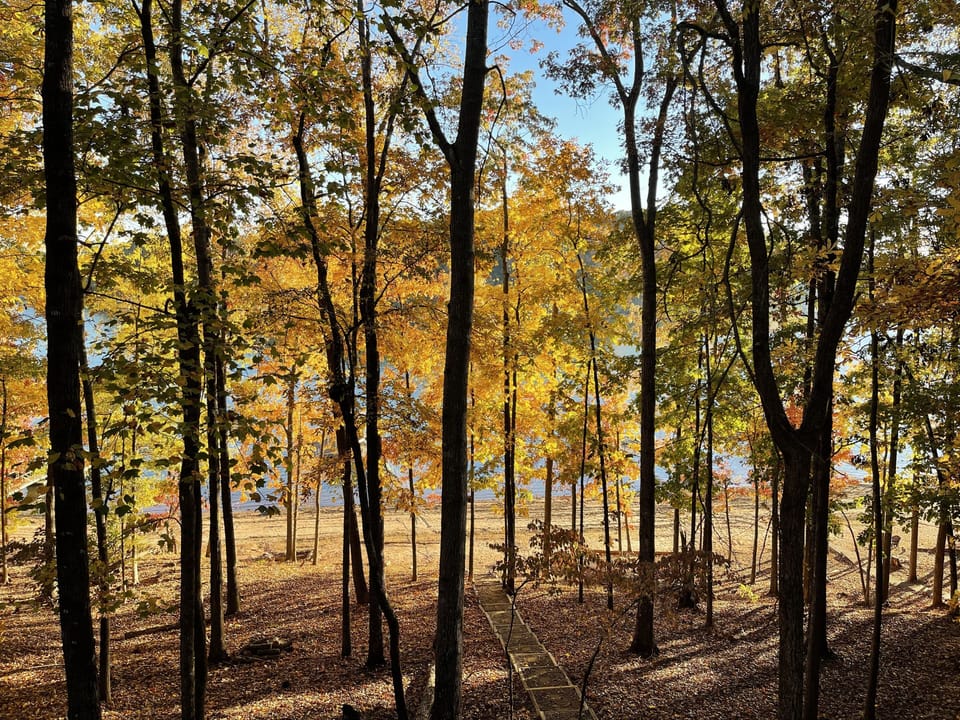 View from the back deck in the fall