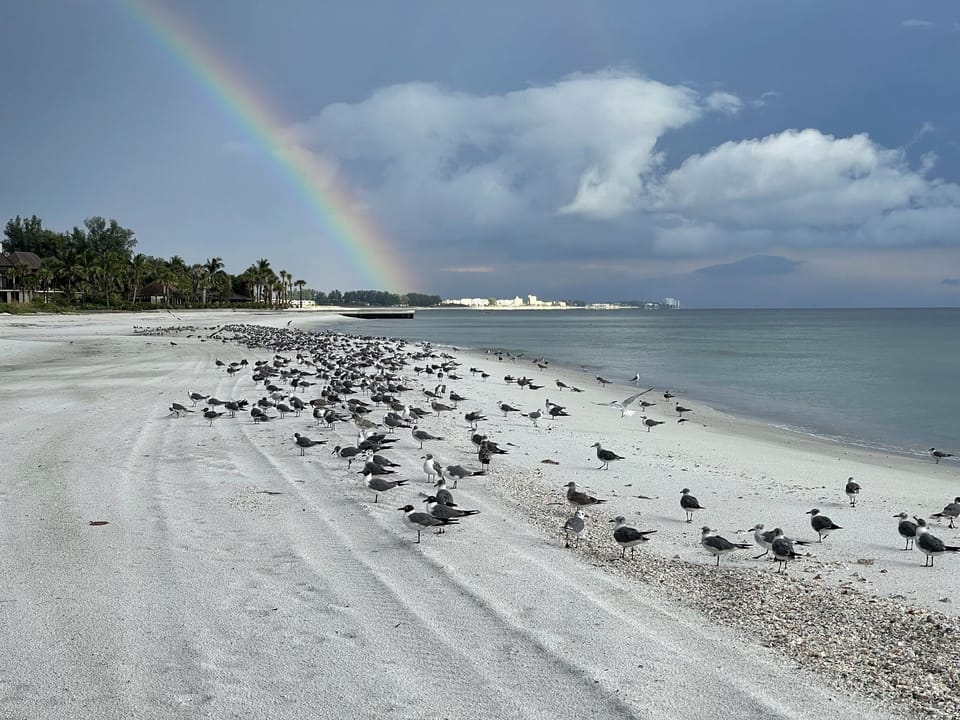 Views of a small part of your beach. Paradise and never crowded!