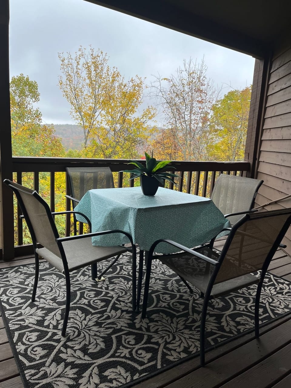Back deck