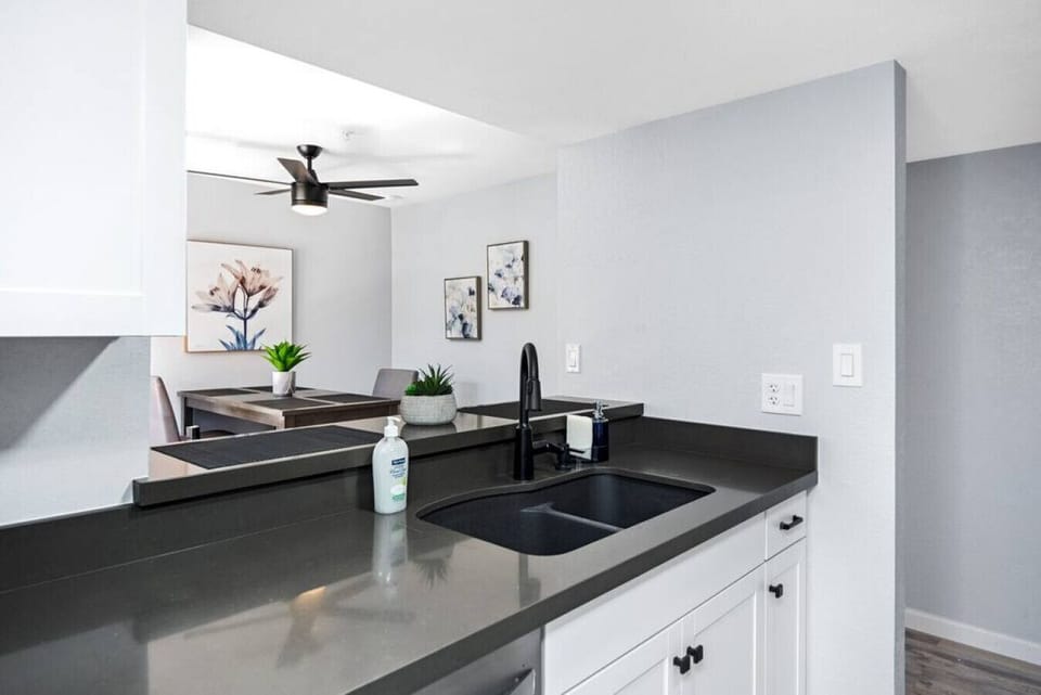Black Quartz countertops