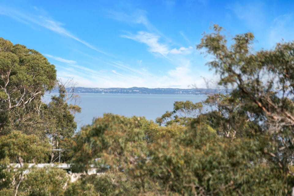 Bay views