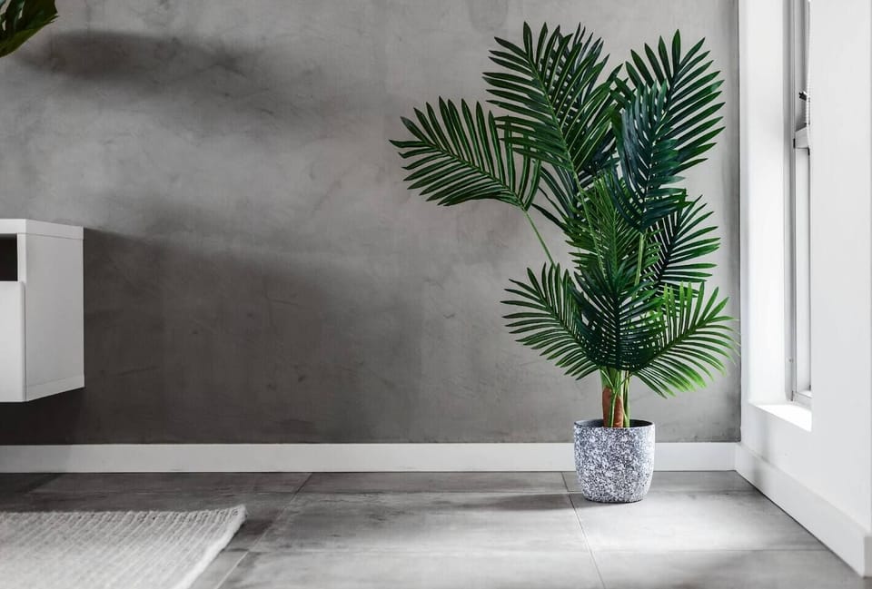 Bright and modern corner with a stylish indoor plant, adding a fresh, calming touch to your living space. Perfect for a peaceful and Instagram-worthy stay.