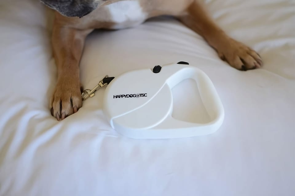Bring your pup along and settle in comfortably together.