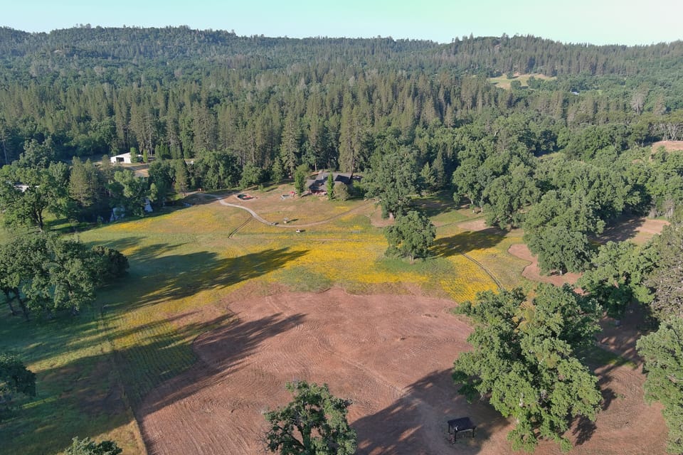 Drone View
