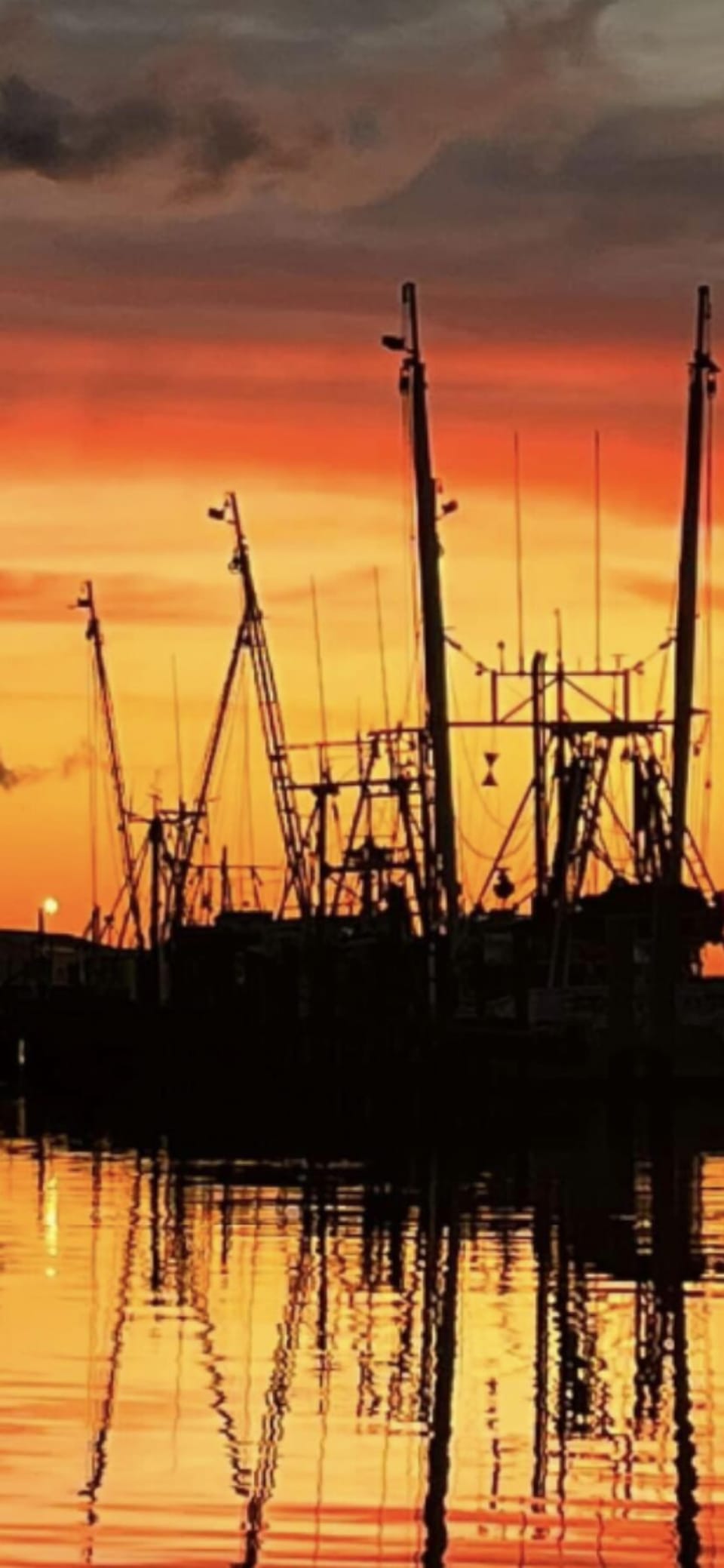 shrimp boats at sunset downtown marina