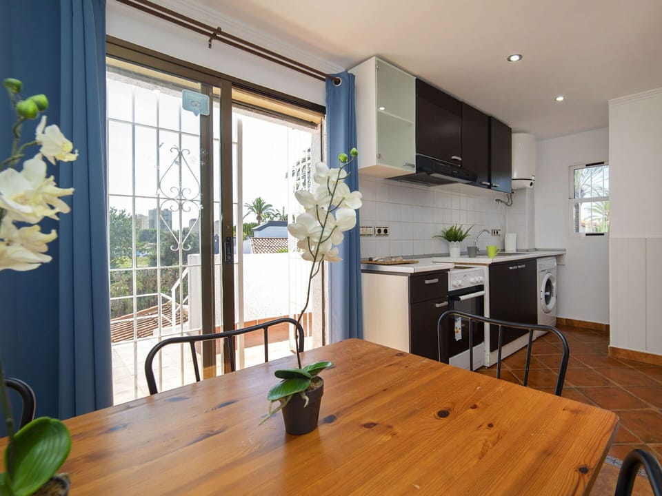 Table, Furniture, Plant, Countertop, Cabinetry, Houseplant, Flowerpot, Building, Wood, Flower