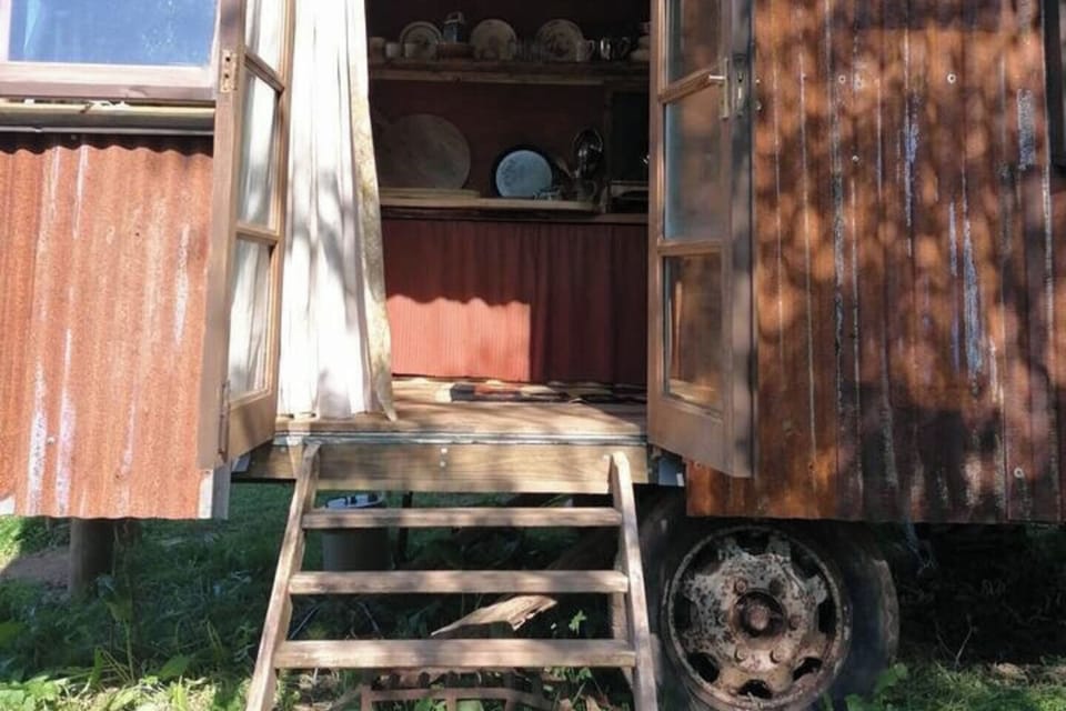 Image 13