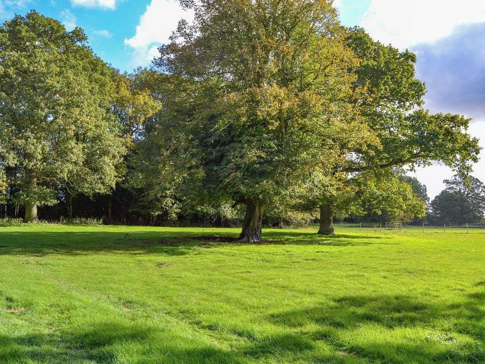 Double bedroom | Park View, Palgrave, near Diss