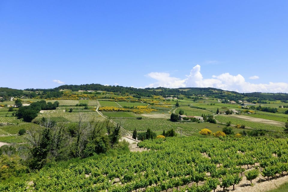 Region [summer] (>5 km)