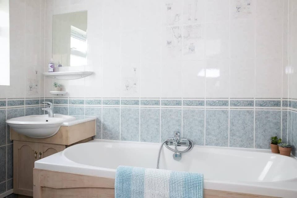 Bathroom with handheld shower