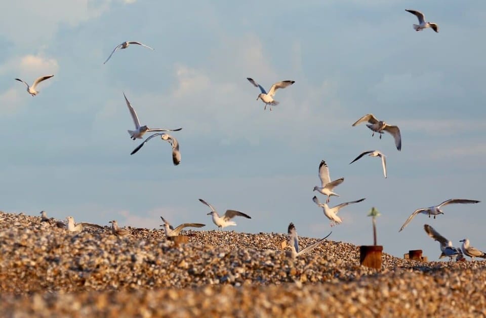 Come and escape to the coast for some well deserved Fresh Air!