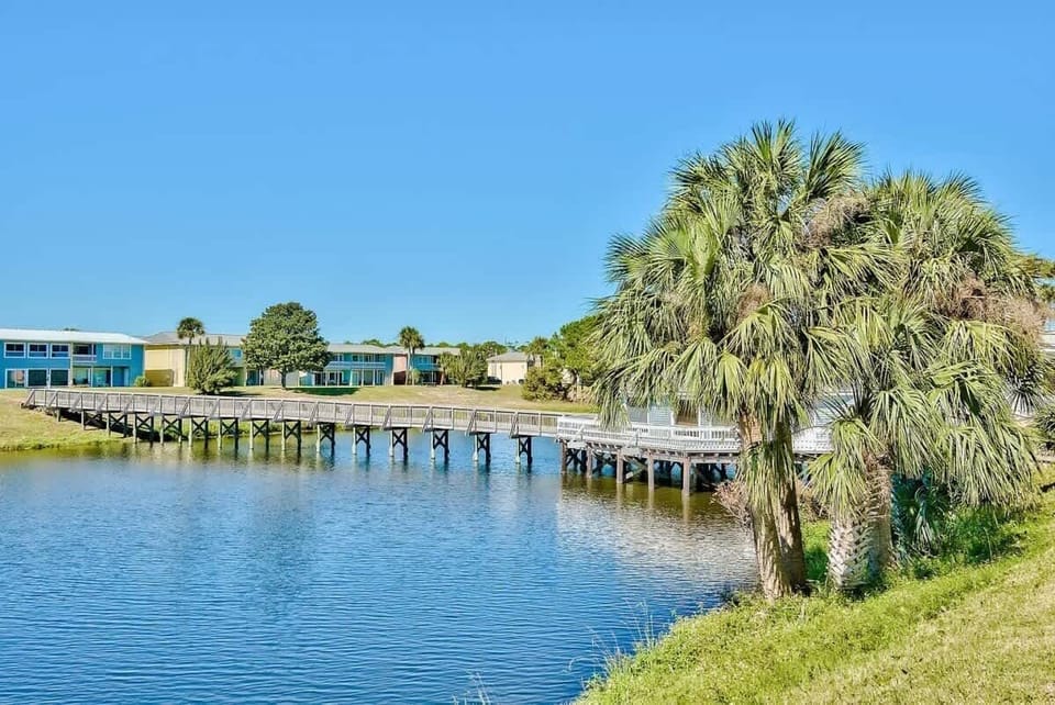 Enjoy serene lake vibes while watching turtles glide by.