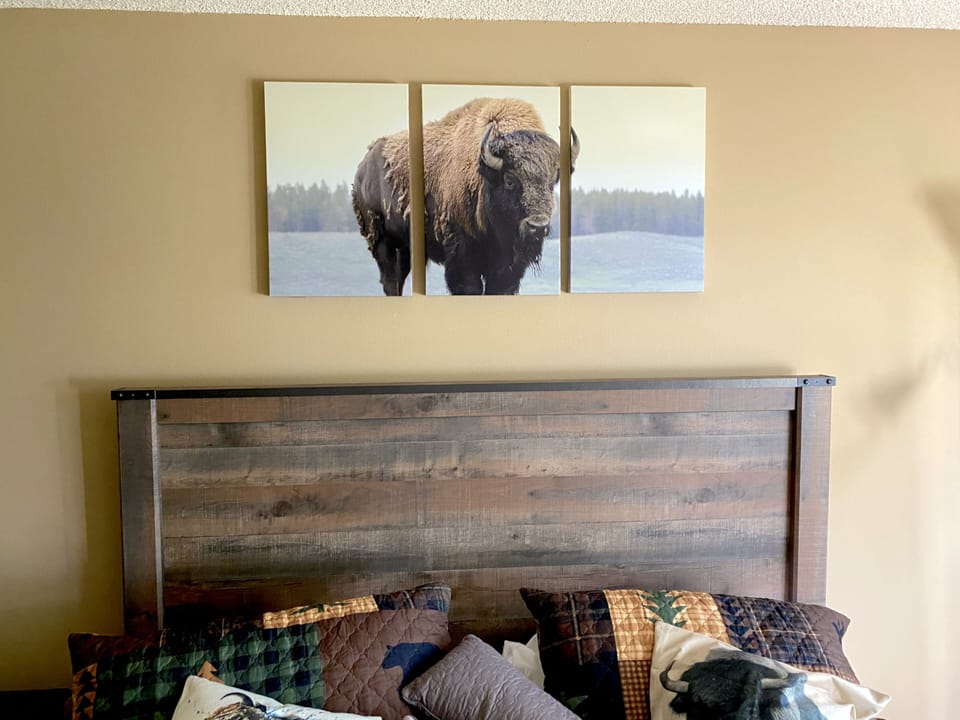 Bison Bedroom Main Floor