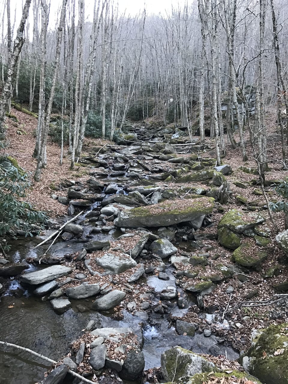 Nearby Hiking Trail.