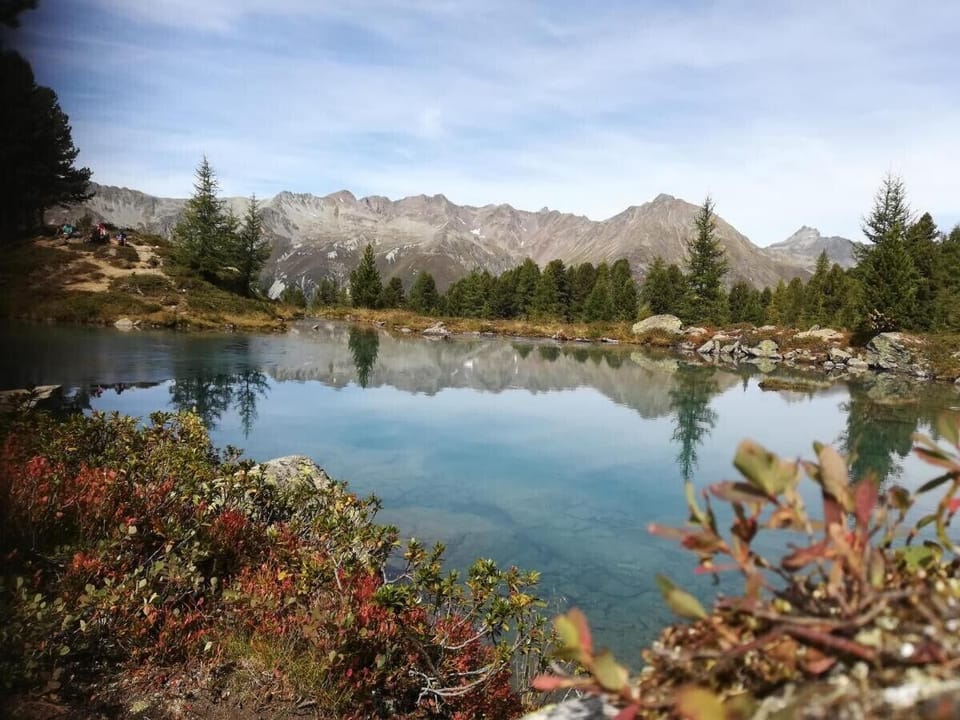 Miscellaneous
