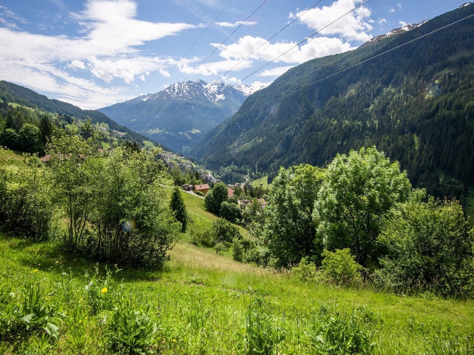 Surroundings [summer] (1-5 km)