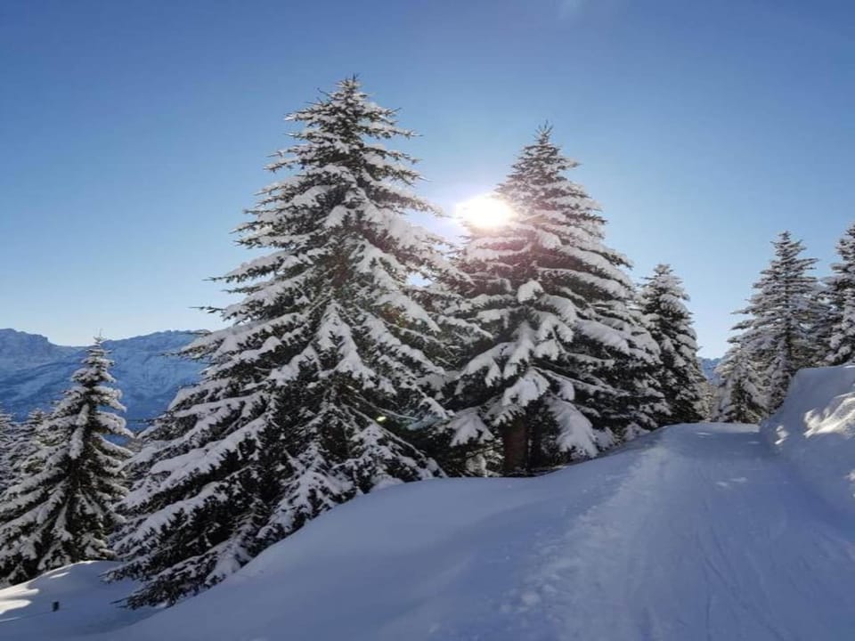 Region [winter] (>5 km)