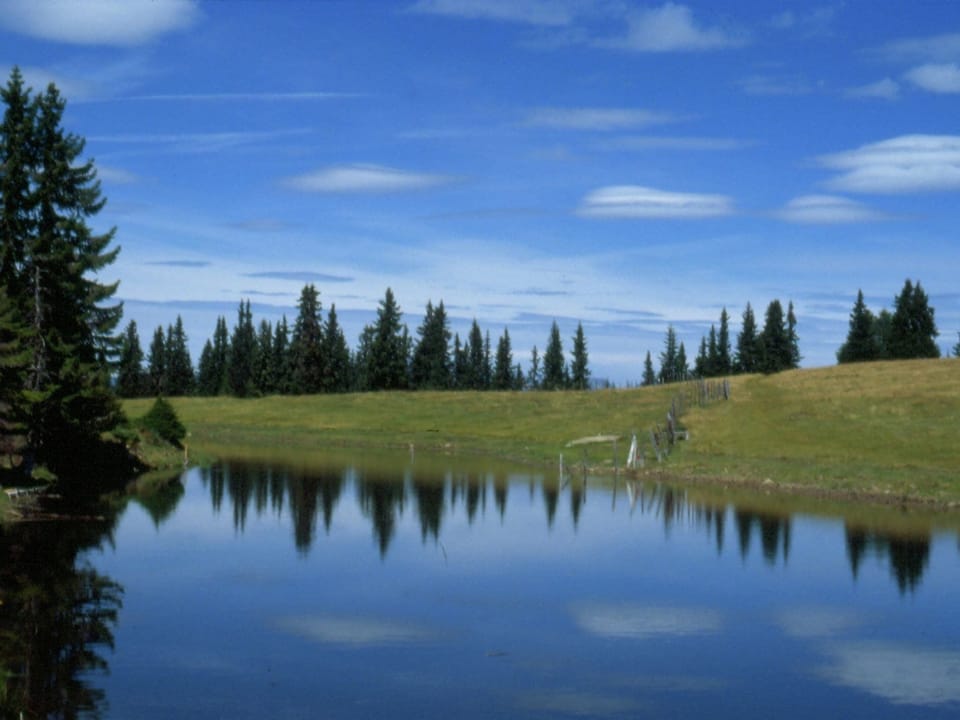 Surroundings [summer] (1-5 km)