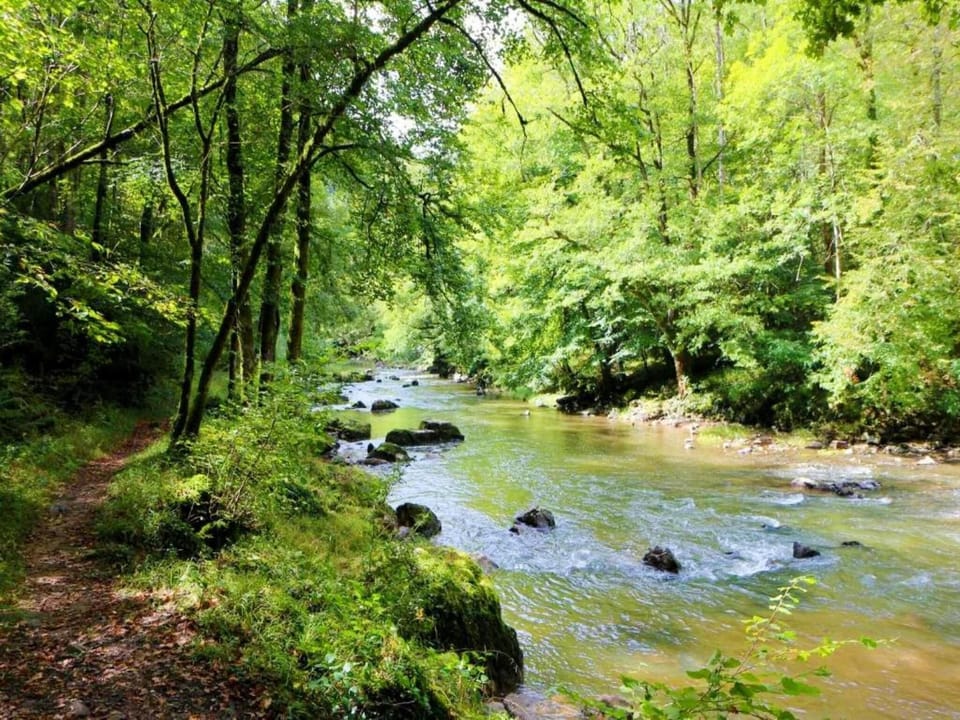 Surroundings [summer] (1-5 km)