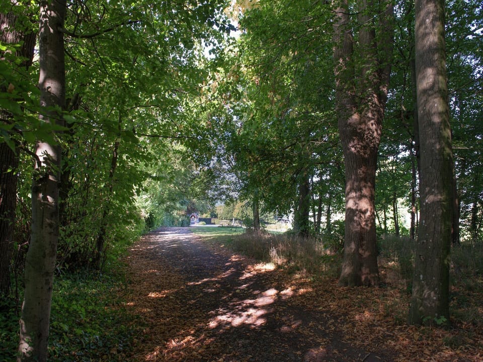 Immediate Surroundings [summer] (<1 km)