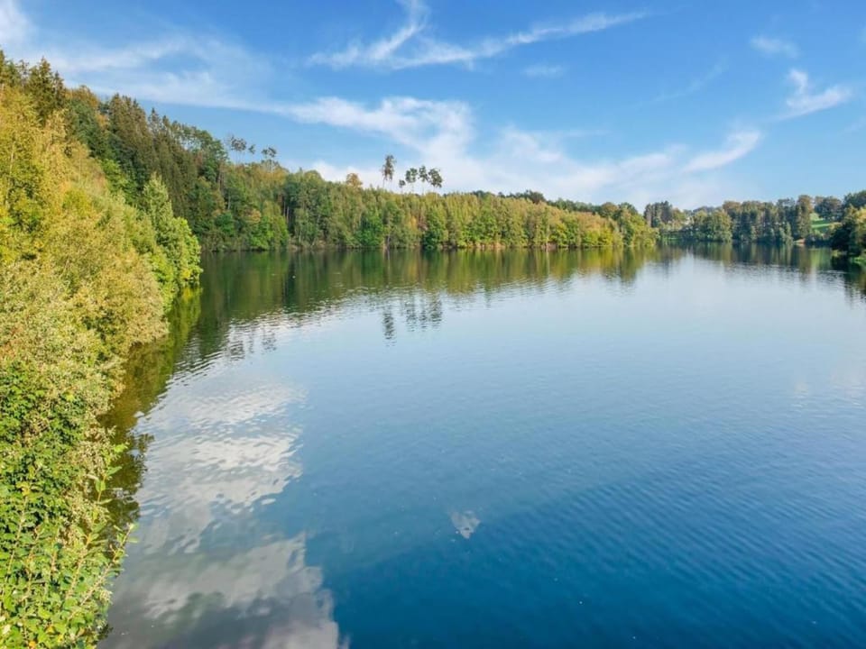 Region [summer] (>5 km)