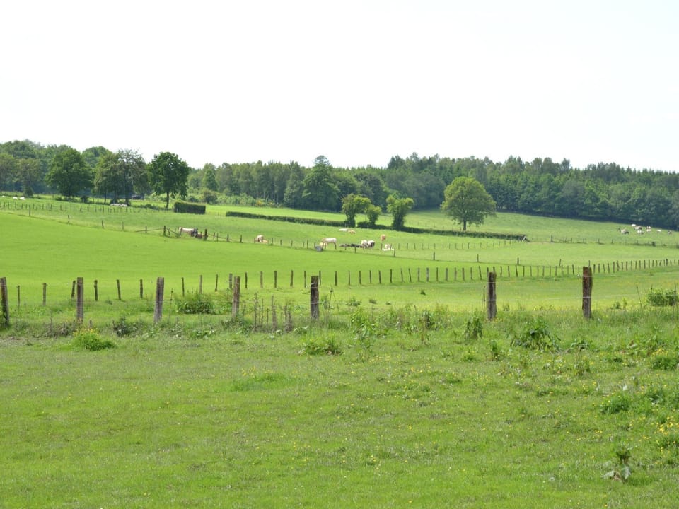 Immediate Surroundings [summer] (<1 km)