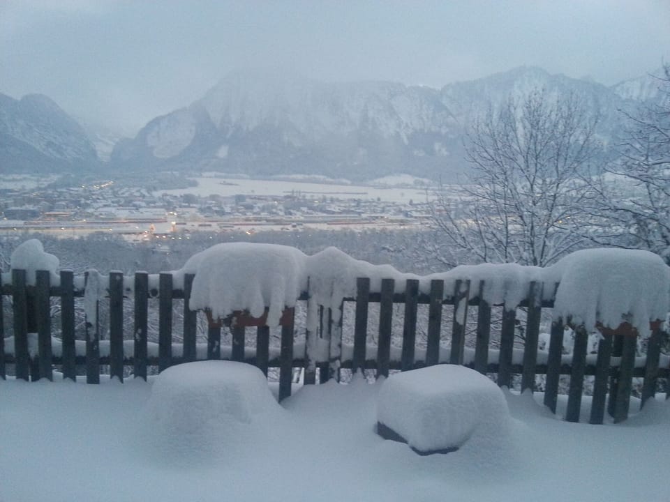 Garden [winter]