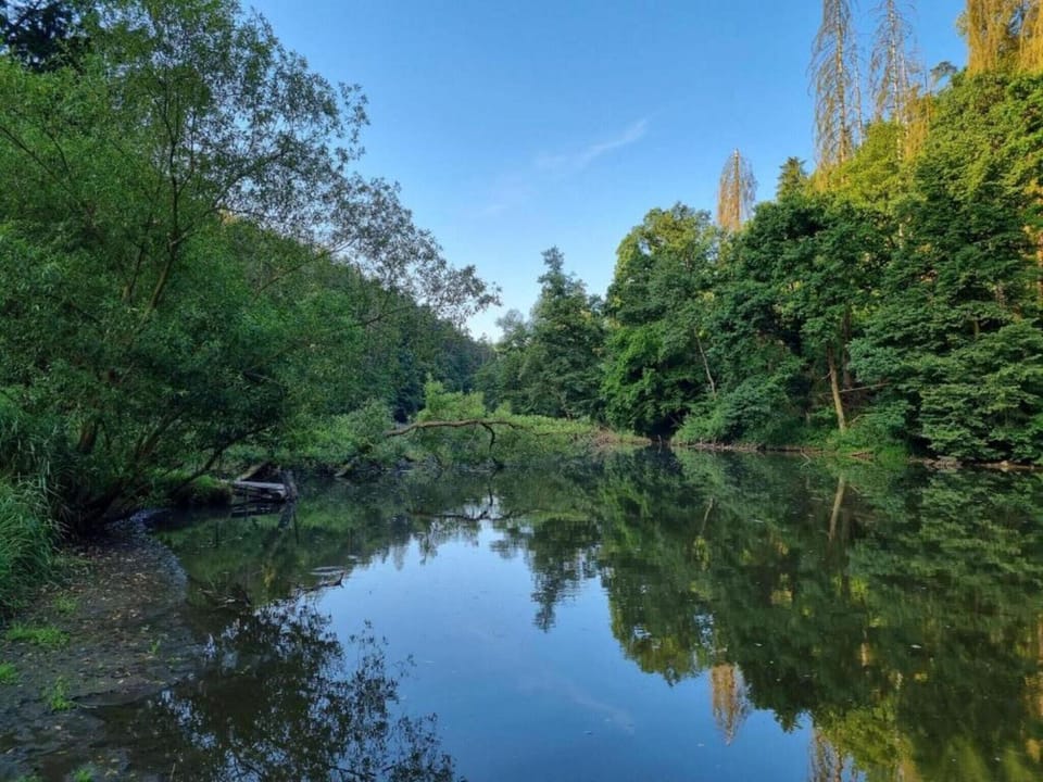 Surroundings [summer] (1-5 km)