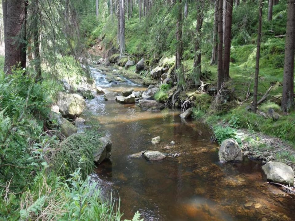 Surroundings [summer] (1-5 km)