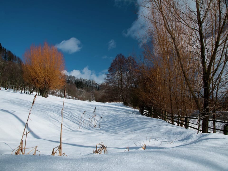View from Holiday Home [winter]