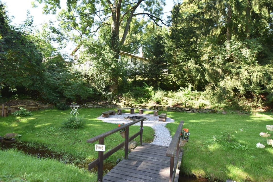 Garden [summer]