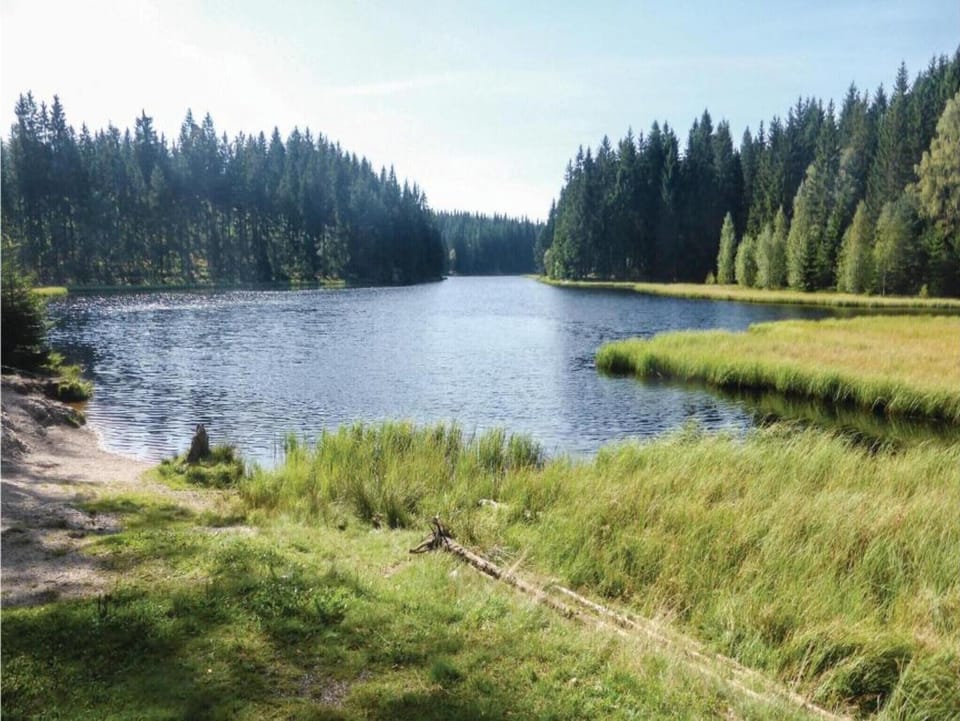 Region [summer] (>5 km)