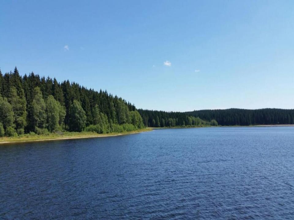 Region [summer] (>5 km)
