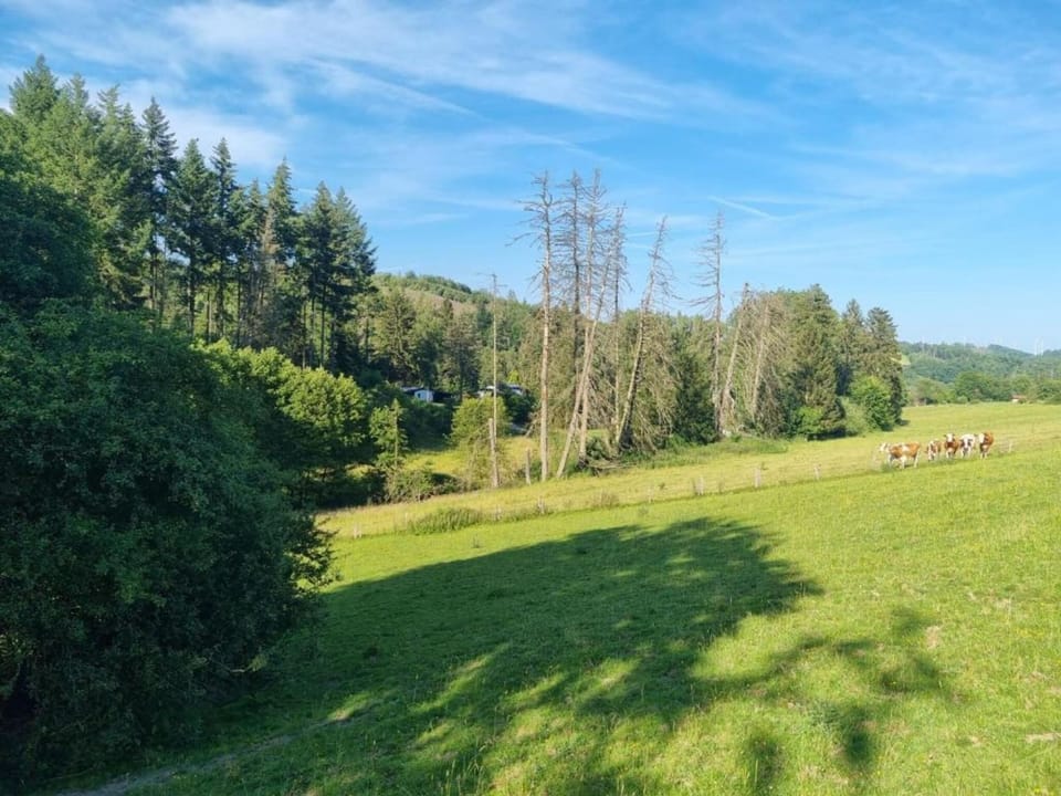 Surroundings [summer] (1-5 km)